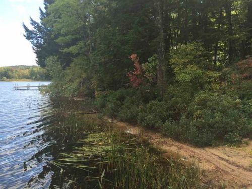 106 Eidelweiss Dr, Madison, NH 03849-5642