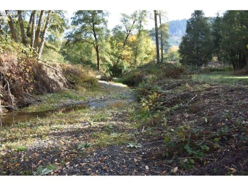 1351 Rice Creek Rd, Winston, OR 97496-5520