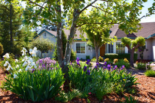 802 Fitchview Ln, Healdsburg, CA 95448-9210