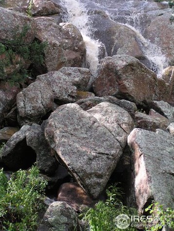 6492 County Rd 80c, Red Feather Lakes CO 80536-9201 exterior