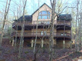 132 Fencerail Gap, Walland, TN 37886-2510