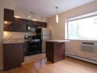 3610 Pine Grove Ave, Chicago IL  60613-4550 exterior