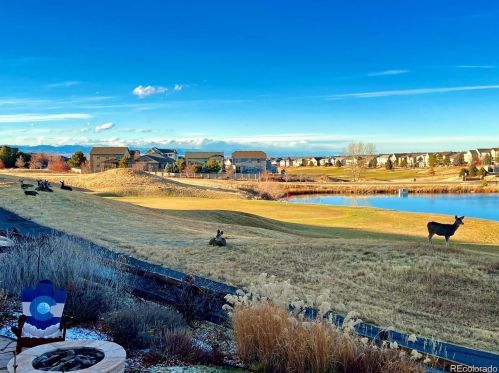 23165 Bay Oaks Ave, Parker CO  80138-5746 exterior