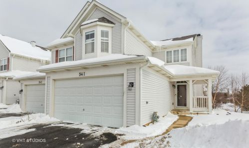 541 Peregrine Pkwy, Hanover Park, IL 60103-1241