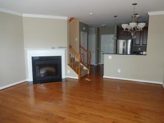 42585 Cardinal Trace Ter, Ashburn VA  20148-6413 exterior