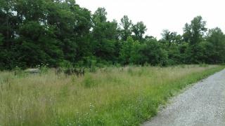 1300 Tater Knob Rd, Peebles, OH 45660-9350
