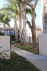 5512 Armitos Ave, Santa Barbara, CA 93117-3511