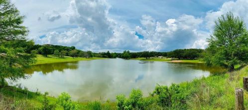 715 Green Oak Dr, Mount Sharp, TX 78620-3004