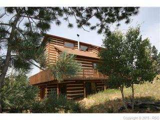 440 Cottonwood Lake Dr, Divide, CO 80814-9708