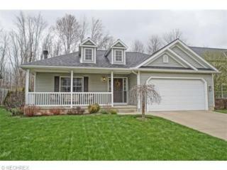806 Lost Pond Pkwy, Concord Township, OH 44024-2807