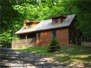 712 Cabin Mountain Rd, Canaan Valley, WV 26260