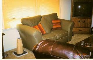 1208 Courtland Dr, Raleigh NC  27604-1339 exterior