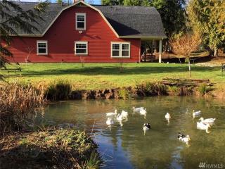 199 Alpha Way, Alpha, WA 98570-9608