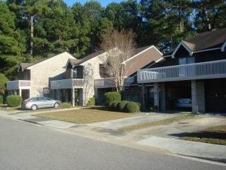 49 Brighton Cir, Charleston, SC 29414-5451