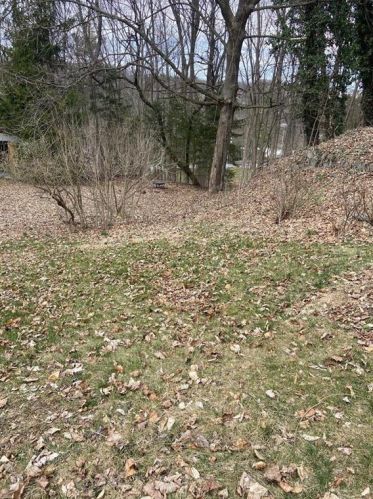 1954 3rd Ave, Primrose PA  17901-2013 exterior