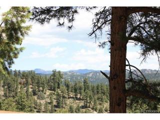 188 Lark Ln, Bailey, CO 80421-2031