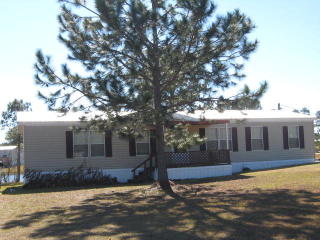 120 Serenity Rd, Vidalia, GA 30474-6455