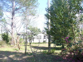 891 Attapulgus Climax Rd, Climax, GA 39834-2731