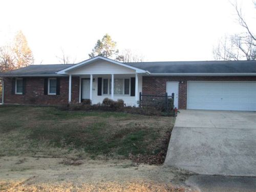 550 Skyview Dr, Ellington, MO 63638-9103