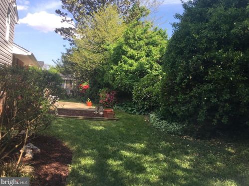7317 Gresham St, Springfield VA  22151-3003 exterior