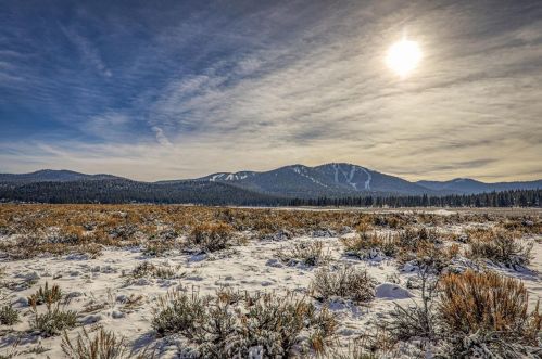 705 Conifer, Truckee CA  96161-3924 exterior