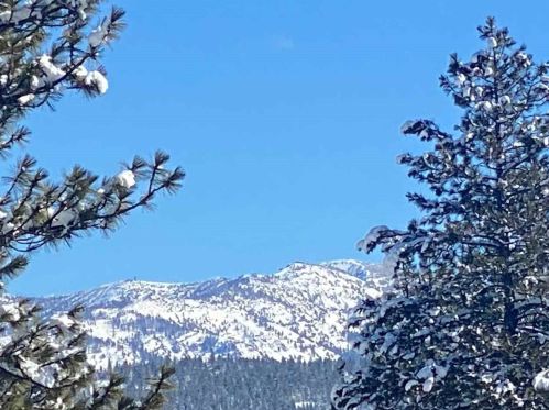 11844 Highland Ave, Truckee CA  96161-1710 exterior