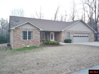 171 Coon Ridge Rd, Lakeview, AR 72642-7139