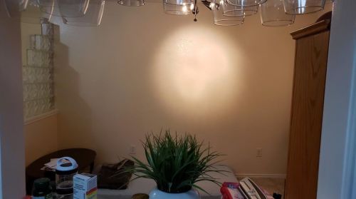 2430 Inverness Dr, Garland TX 75040-8848 exterior