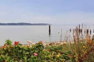 6218 Brighton Beach Rd, Maxwelton, WA 98236-9502