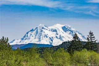 629 Joy St, Alder, WA 98328-7027
