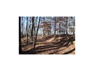 4936 Goddards Ford Rd, Gainesville, GA 30504-5149