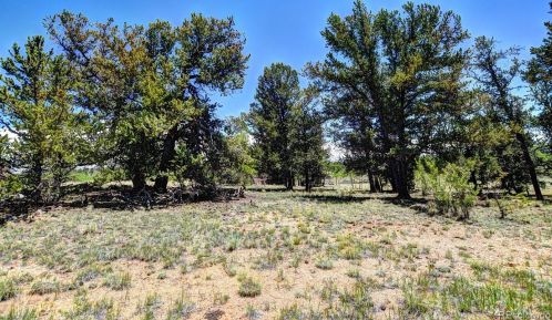 1478 Overland Cir, Fairplay, CO 80456-9731