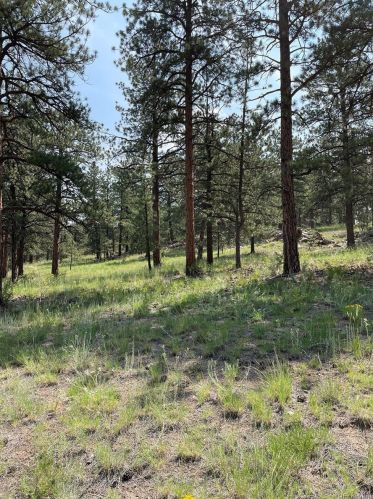 69 Osage Trl, Horn Creek, CO 81252-9662