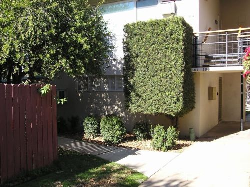 161 Center St, Redlands, CA 92373-8148