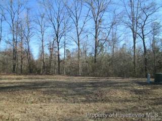 165 Maple Leaf Ct, Lillington, NC 27546-5681