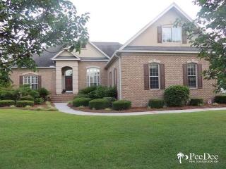 412 Danielle Run, Effingham, SC 29541-4920