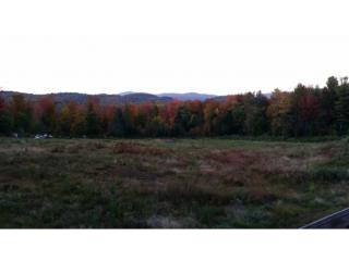 49 Danbury Woods Rd, Danbury, NH 03230-4745