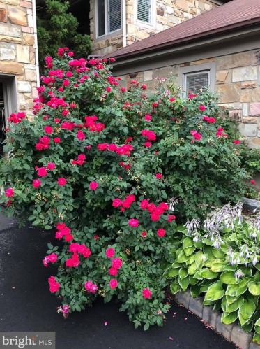 9 Morton Ct, Trenton, NJ 08648-2113