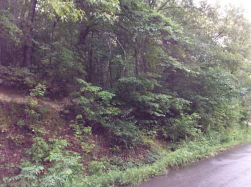 246 Lail Rd, Chickamauga, GA 30707-1967