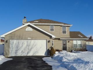 1514 Pheasant Landing Dr, Plainfield, IL 60586-7094
