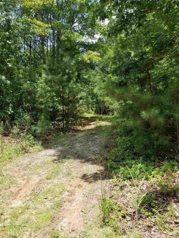 2466 Dunlap Rd, Luthersville, GA 30251-0025