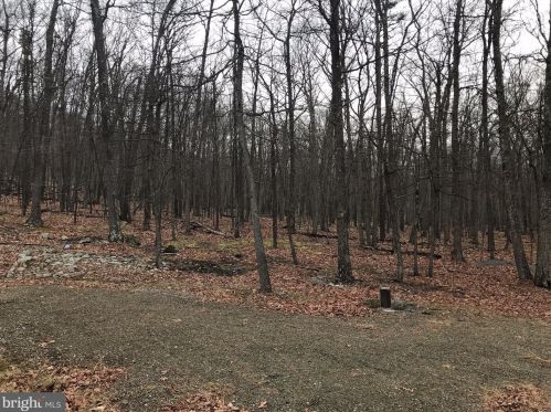 1391 Lost Riv Rdg Cir, Wardensville WV 26851-8514 exterior