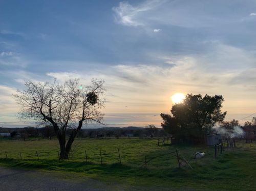 6038 Southworth Rd, Valley Springs, CA 95252-8961