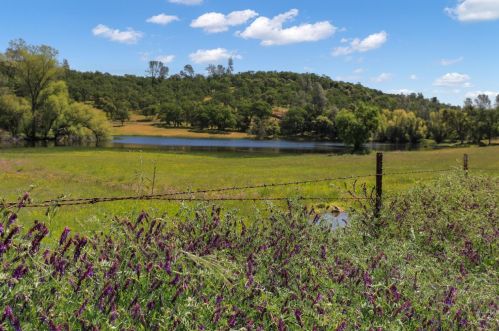 5638 Jaquima Dr, Angels Camp, CA