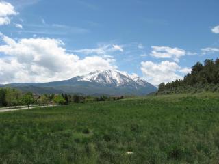 645 Perry Ridge Rd, El Jebel, CO 81623-3137