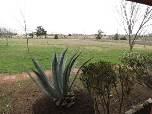14520 Bois D Arc Ln, Webberville TX  78653-3805 exterior