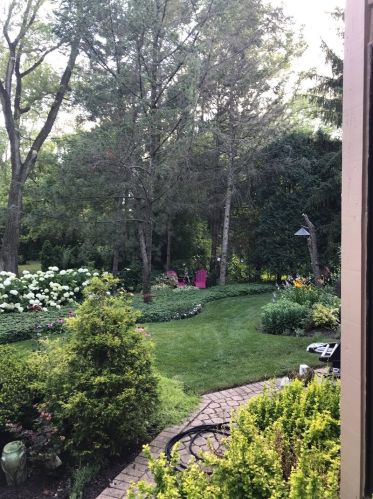 347 Willowood Ln, Willowbrook IL  60527-3900 exterior