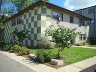 515 10th St, Blmgtn IN  47408-3858 exterior