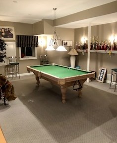 10 Loblolly Ct, Lemont IL  60439-7744 exterior