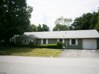 1 Ferndale Ave, Fredon, NJ 07860-1101